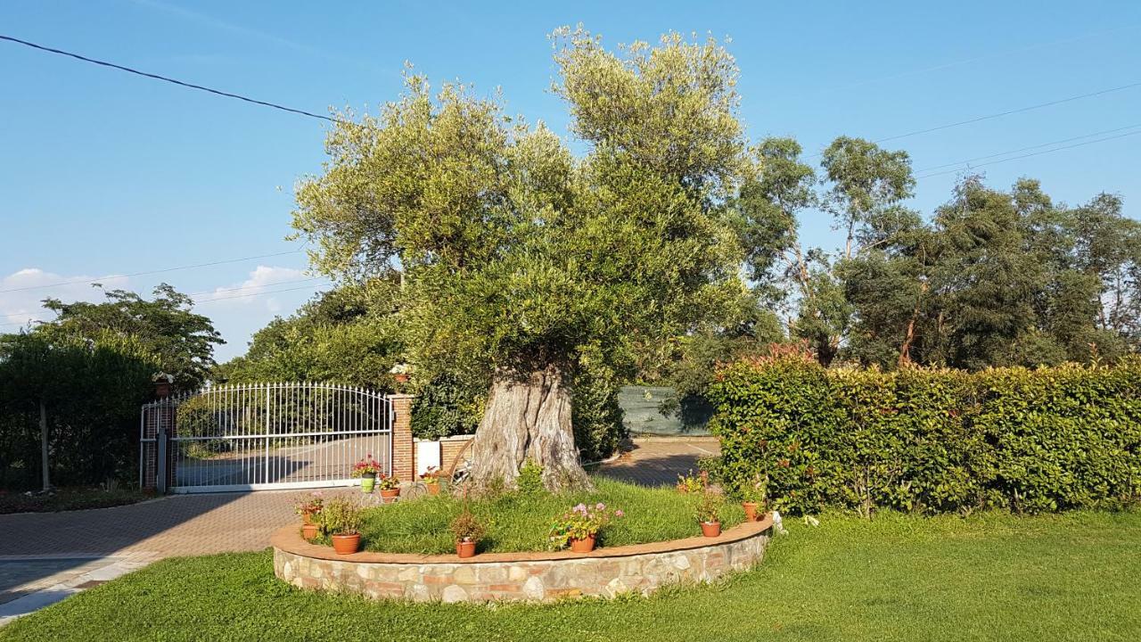 Casal Sant'Elena Bed & Breakfast Altopascio Dış mekan fotoğraf